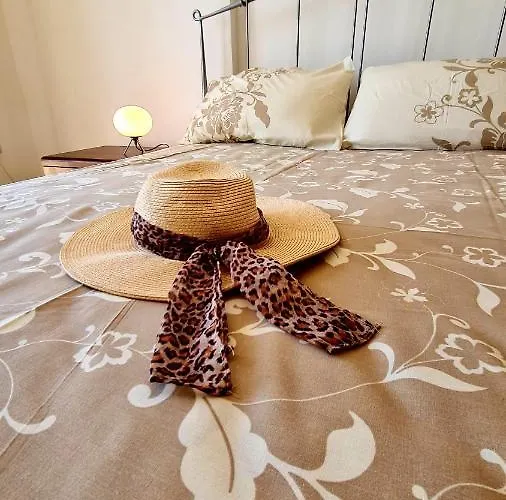 Beautiful Z104 In Vanessa Complex ペイヤ