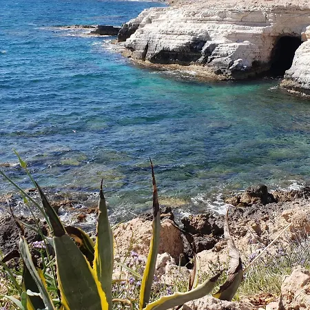 Lägenhet Beautiful Z104 In Vanessa Complex *