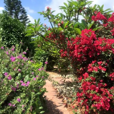 Beautiful Z104 In Vanessa Complex Peyia