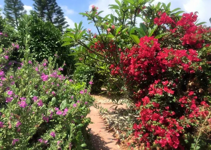 Beautiful Z104 In Vanessa Complex بييا